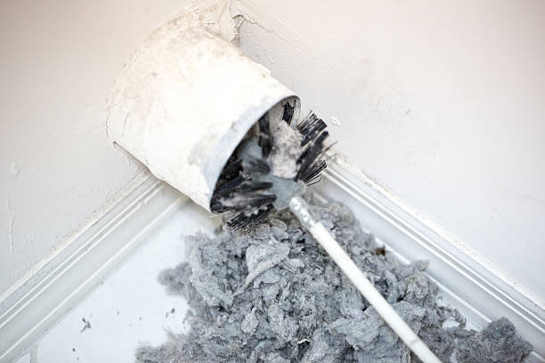 Best HVAC System Cleaning  in Old Jefferson, LA